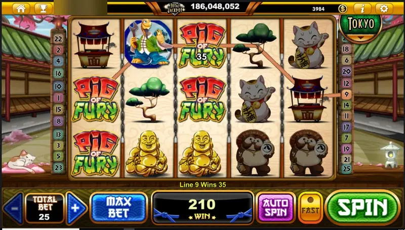 Pig Fury reels with Pig of Fury logo symbols stacked on reels one and three, golden laughing Buddhas, tanuki, lucky cats and a noodle stall, win 210