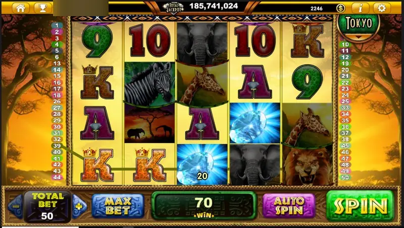 Wilds of Africa win of 70 with two leopard-print K symbols and a blue diamond on reel three, total bet 50